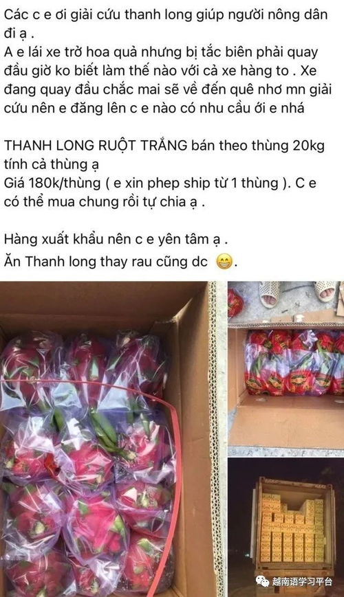 越南新增14835例 春节前后15天暂停通关,越南农副产品将迎来冰封季 水果变质商家血本无归