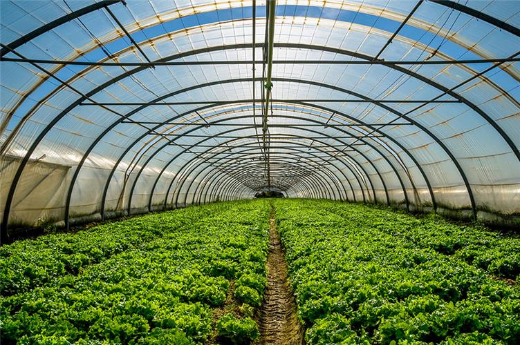 农产品种植-昆山菜篮子农副产品有限公司